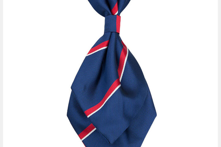 Krawaty i krawatki